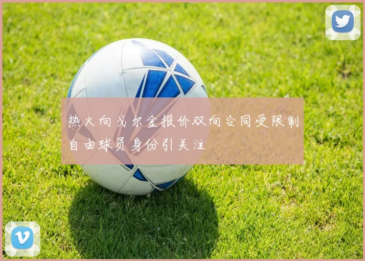热火向戈尔金报价双向合同受限制自由球员身份引关注