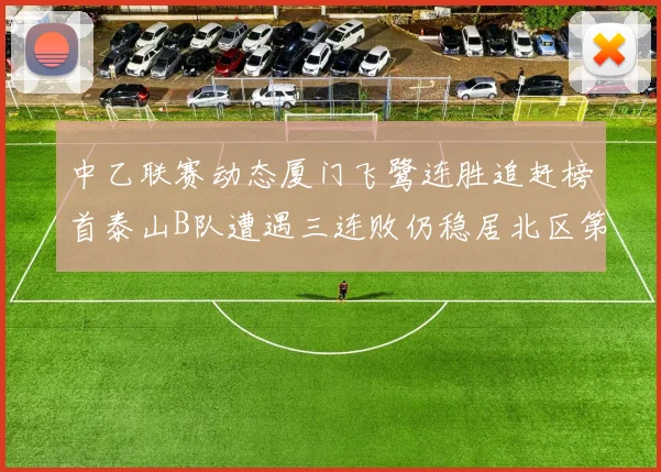 中乙联赛动态厦门飞鹭连胜追赶榜首泰山B队遭遇三连败仍稳居北区第三