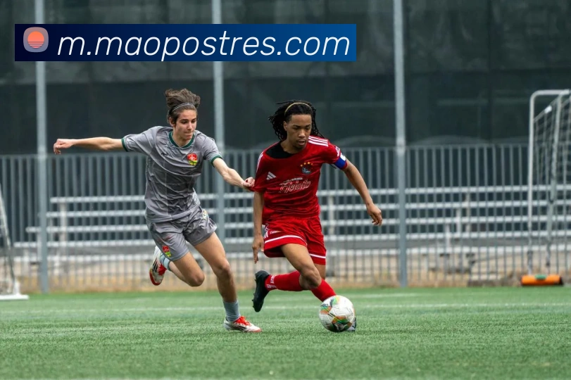 互动解说服务